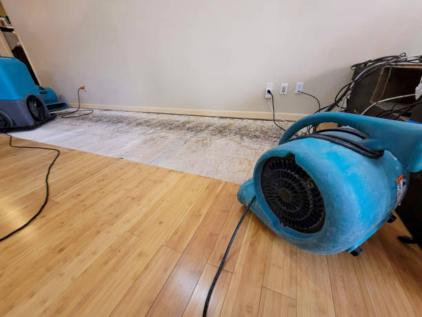 Professional Basement Flood Cleanup technician working in Honor, MI